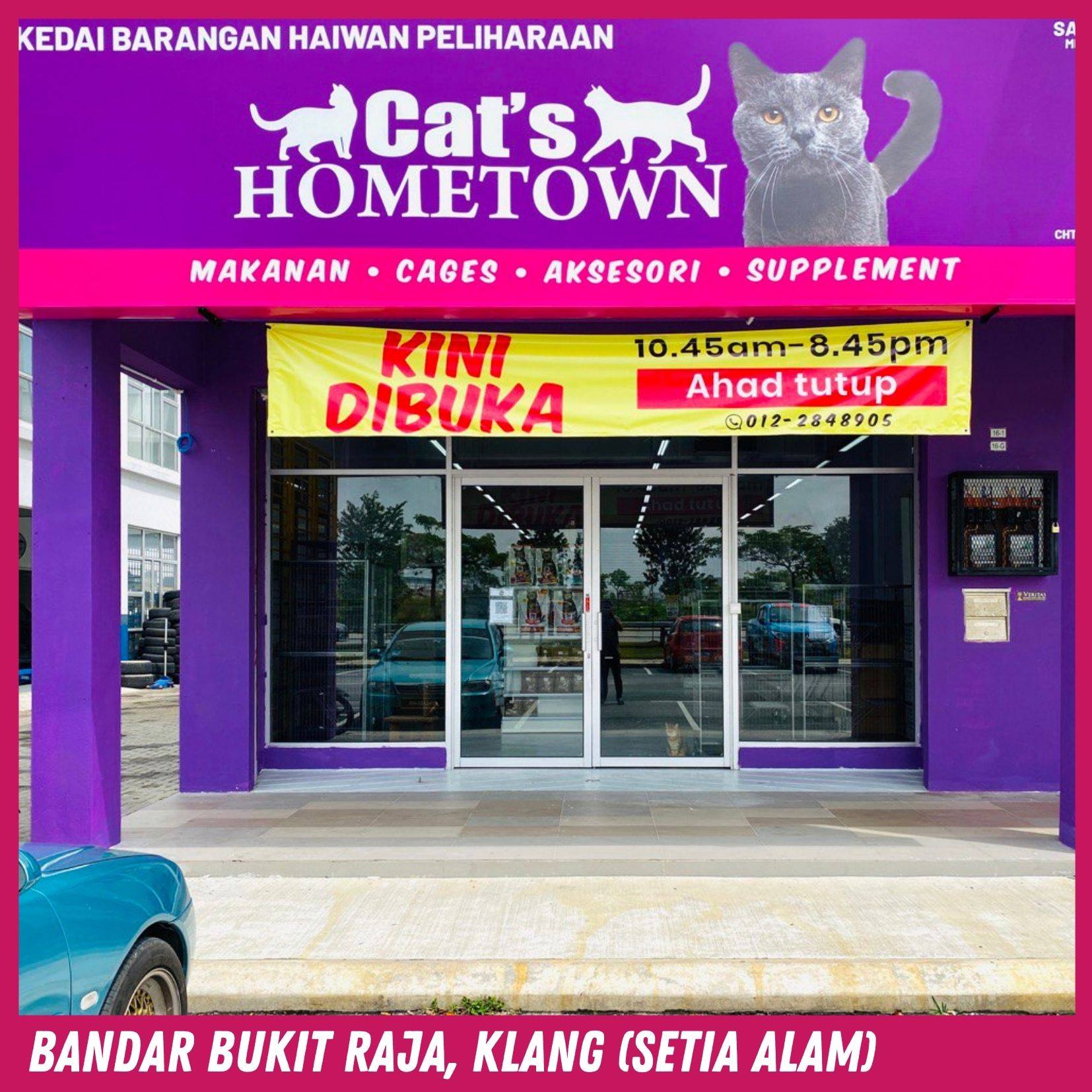 Hometown cats Think Hometowncat