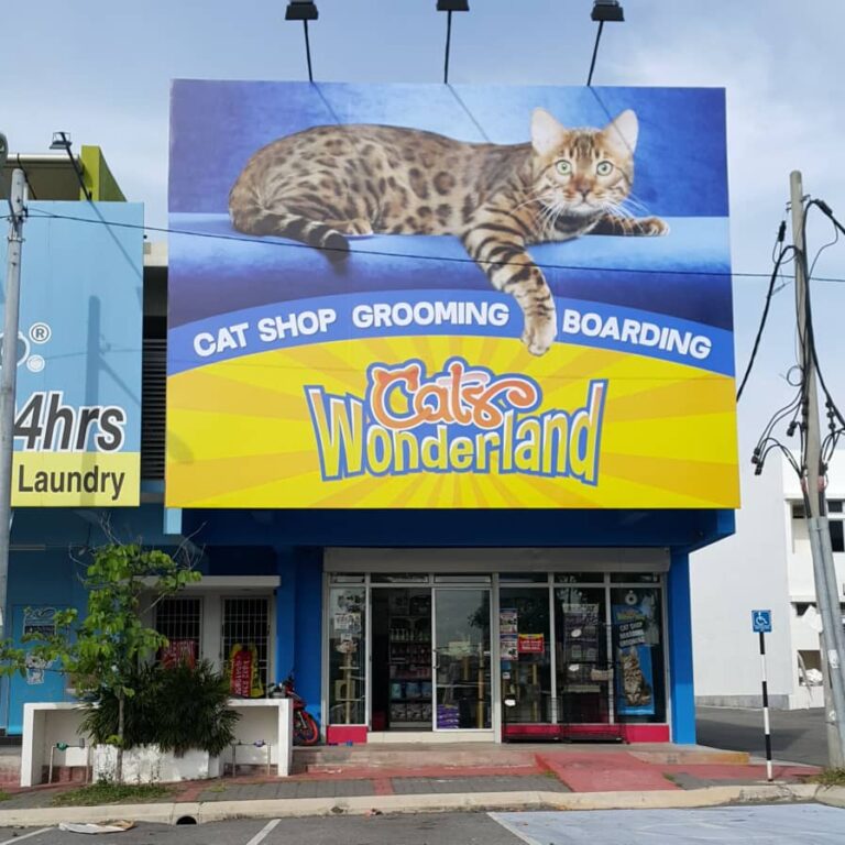 CATS WONDERLAND PUNCAK ALAM  Kedai Kucing