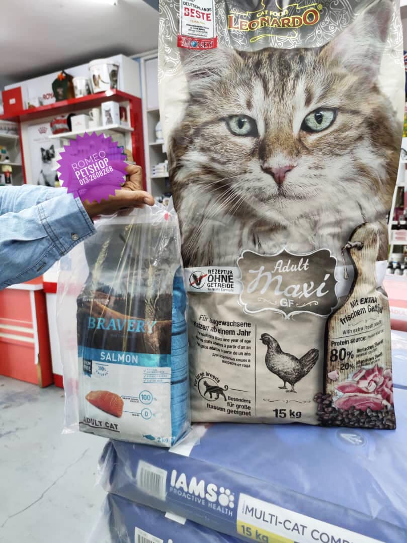 Romeo Pet Shop Shah Alam Kedai Kucing